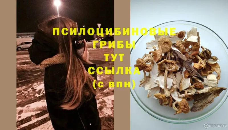 Галлюциногенные грибы Magic Shrooms  Дмитриев 